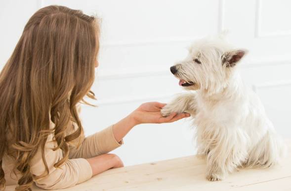 A person holding a dog